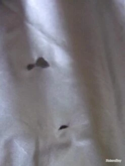 Duvet Armée Française -Nitecore Soldes 00004 duvet armee francaise